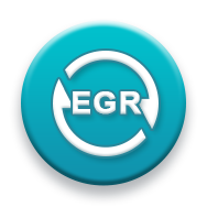 Адаптация и настройка клапана EGR в Гомеле